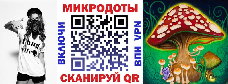 Купить закладки  Комсомольск-на-Амуре  Псилоцибиновые грибы GOLDEN TEACHER 